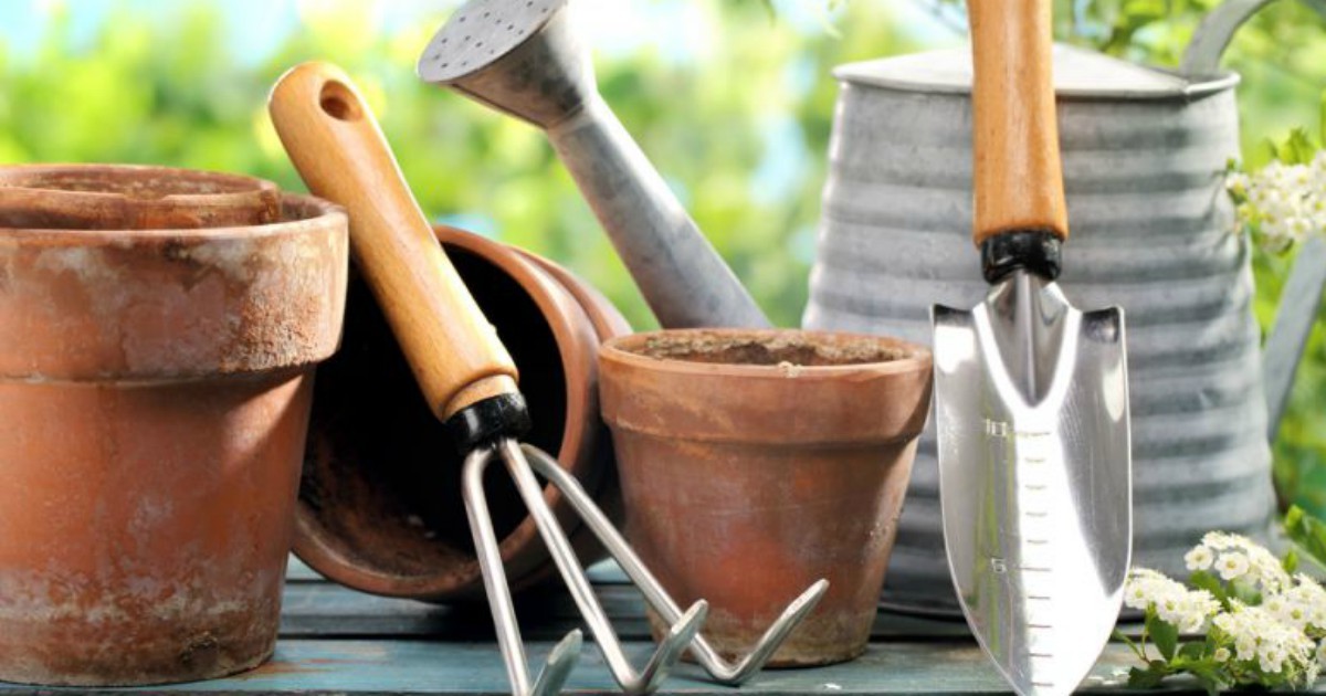 Small Garden Tools – A Handy Guide for Every Gardener