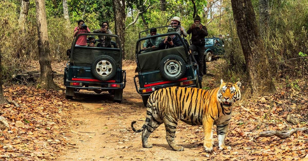Jeep Safari